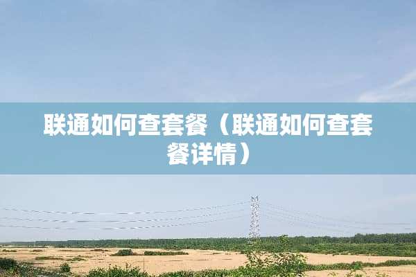 联通如何查套餐（联通如何查套餐详情）