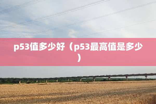 p53值多少好（p53最高值是多少）