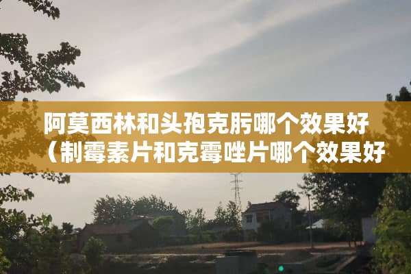 阿莫西林和头孢克肟哪个效果好（制霉素片和克霉唑片哪个效果好）