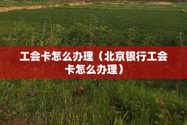 工会卡怎么办理（北京银行工会卡怎么办理）