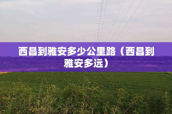西昌到雅安多少公里路（西昌到雅安多远）
