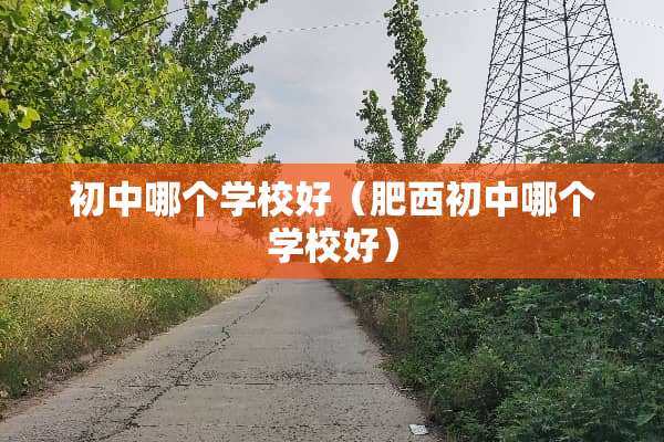 初中哪个学校好（肥西初中哪个学校好）