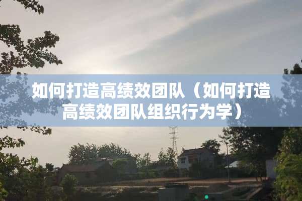如何打造高绩效团队（如何打造高绩效团队组织行为学）