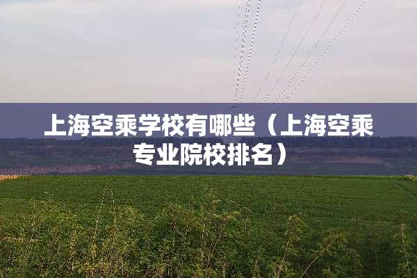 上海空乘学校有哪些（上海空乘专业院校排名）