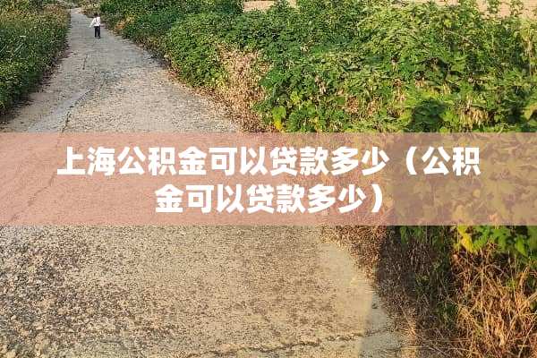 上海公积金可以贷款多少（公积金可以贷款多少）