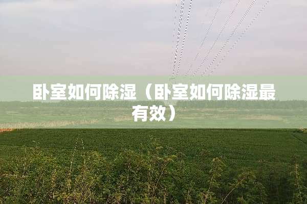 卧室如何除湿（卧室如何除湿最有效）