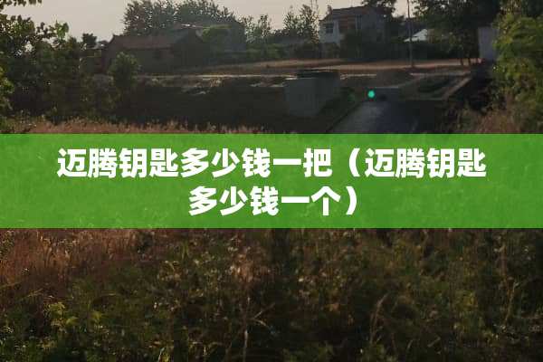 迈腾钥匙多少钱一把（迈腾钥匙多少钱一个）