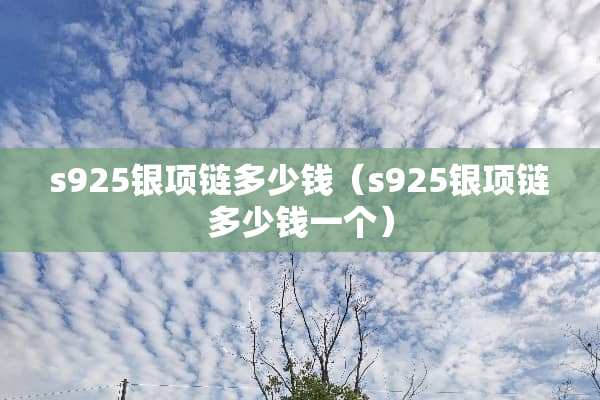 s925银项链多少钱（s925银项链多少钱一个）