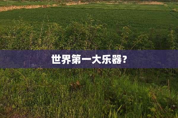 世界第一大乐器？