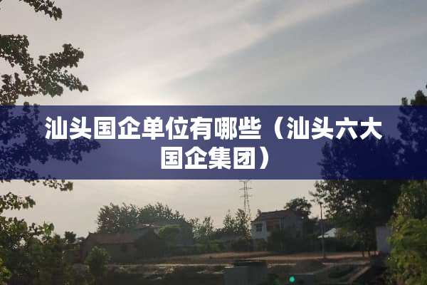 汕头国企单位有哪些（汕头六大国企集团）