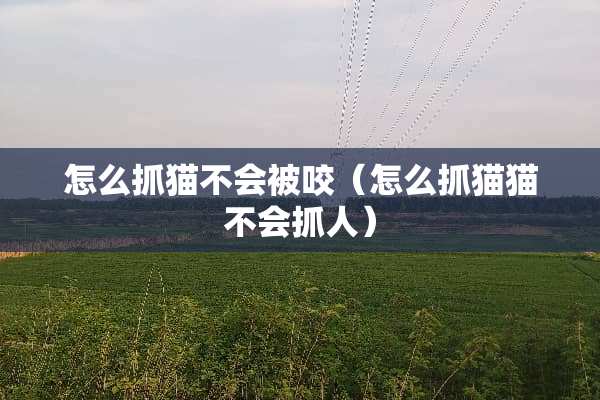 怎么抓猫不会被咬（怎么抓猫猫不会抓人）