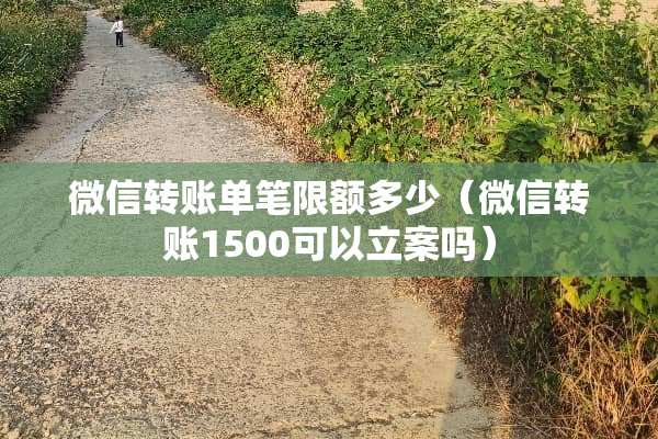 微信转账单笔限额多少（微信转账1500可以立案吗）