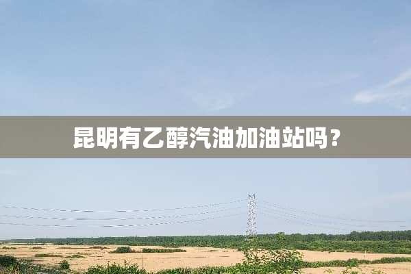 昆明有乙醇汽油加油站吗？