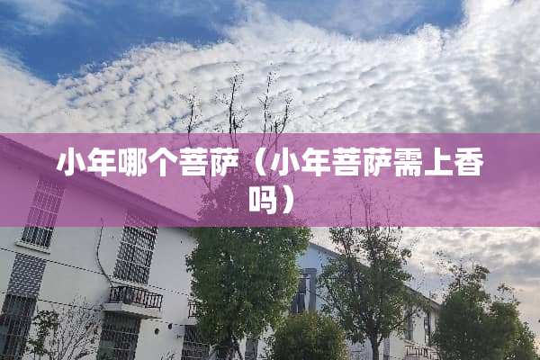小年哪个菩萨（小年菩萨需上香吗）