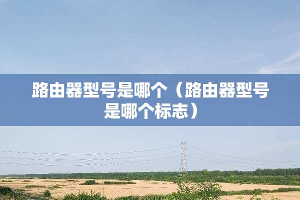 路由器型号是哪个（路由器型号是哪个标志）