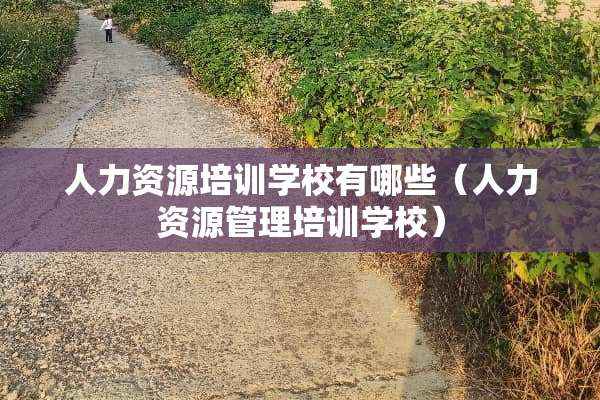 人力资源培训学校有哪些（人力资源管理培训学校）