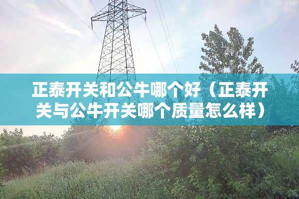 正泰开关和公牛哪个好（正泰开关与公牛开关哪个质量怎么样）