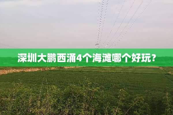 深圳大鹏西涌4个海滩哪个好玩？