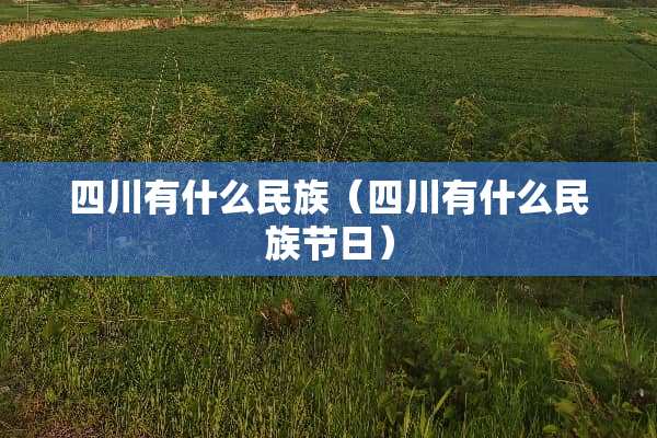 四川有什么民族（四川有什么民族节日）