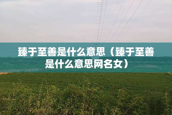 臻于至善是什么意思（臻于至善是什么意思网名女）