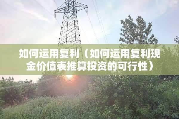 如何运用复利（如何运用复利现金价值表推算投资的可行性）