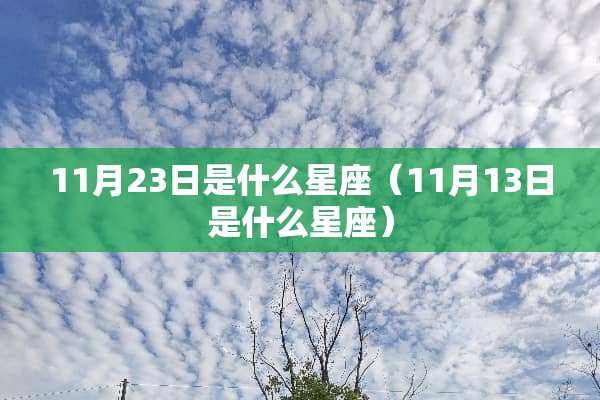 11月23日是什么星座（11月13日是什么星座）