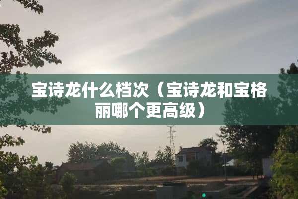 宝诗龙什么档次（宝诗龙和宝格丽哪个更高级）