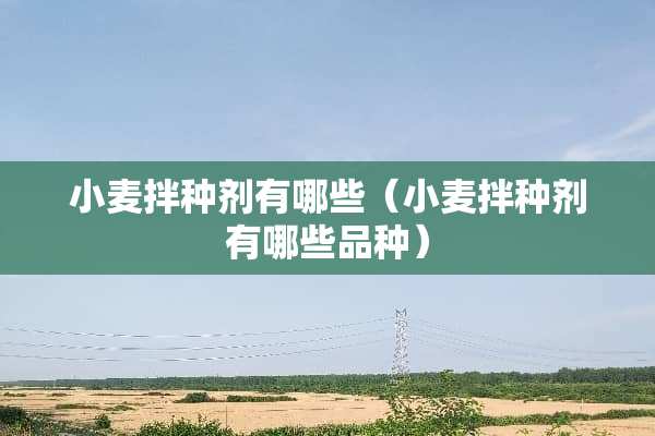 小麦拌种剂有哪些（小麦拌种剂有哪些品种）