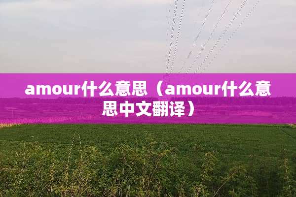 amour什么意思（amour什么意思中文翻译）