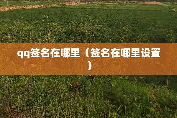 qq签名在哪里（签名在哪里设置）