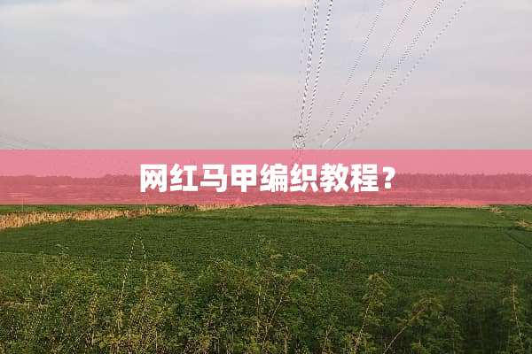 网红马甲编织教程？