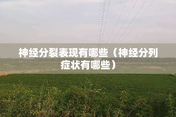 神经**表现有哪些（神经分列症状有哪些）