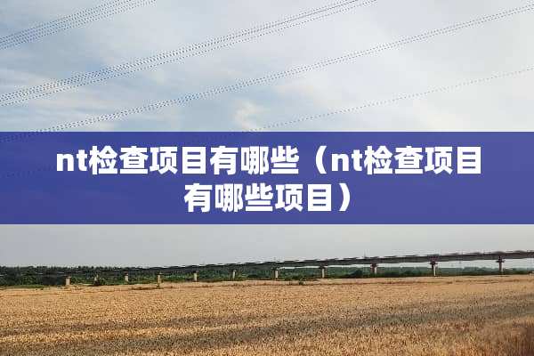 nt检查项目有哪些（nt检查项目有哪些项目）