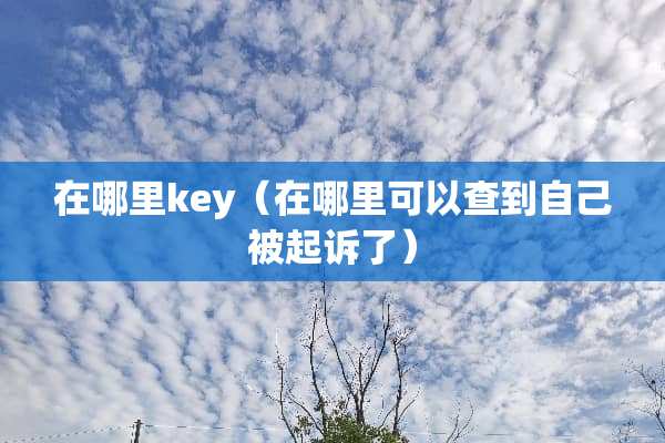 在哪里key（在哪里可以查到自己被起诉了）