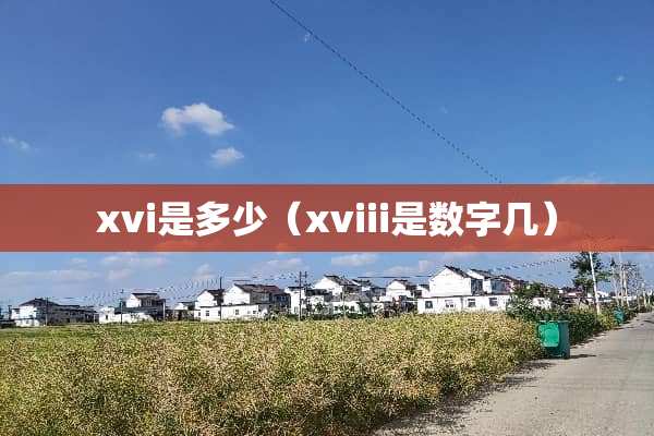 xvi是多少（xviii是数字几）