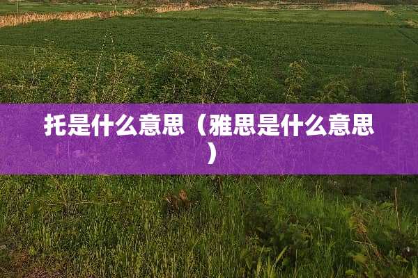 托是什么意思（雅思是什么意思）