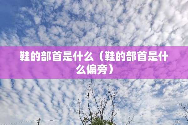 鞋的部首是什么（鞋的部首是什么偏旁）