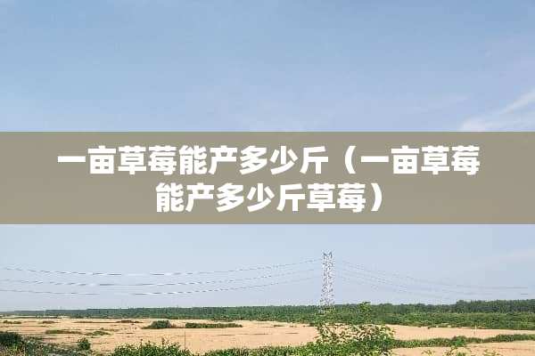一亩草莓能产多少斤（一亩草莓能产多少斤草莓）