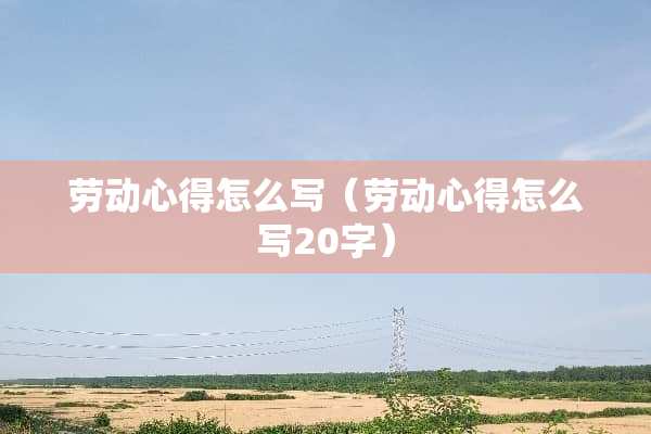 劳动心得怎么写（劳动心得怎么写20字）
