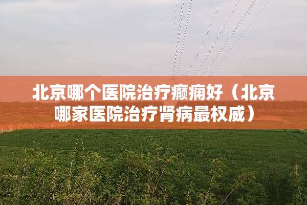 北京哪个医院治疗癫痫好（北京哪家医院治疗肾病最权威）