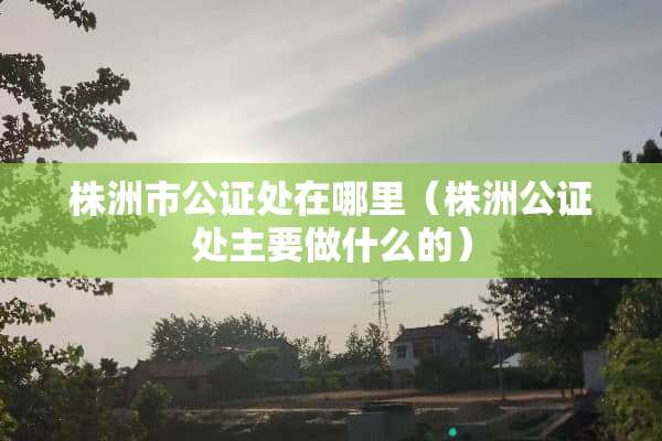 株洲市公证处在哪里（株洲公证处主要做什么的）