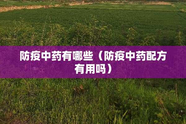 防疫中药有哪些（防疫中药配方有用吗）
