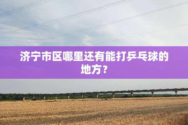 济宁市区哪里还有能打乒乓球的地方？