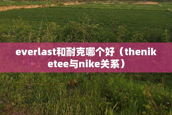 everlast和耐克哪个好（theniketee与nike关系）