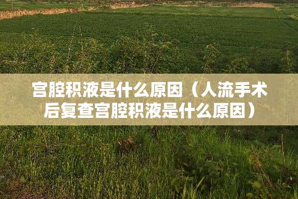 宫腔积液是什么原因（人流手术后复查宫腔积液是什么原因）