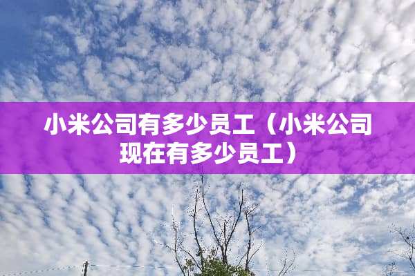 小米公司有多少员工（小米公司现在有多少员工）