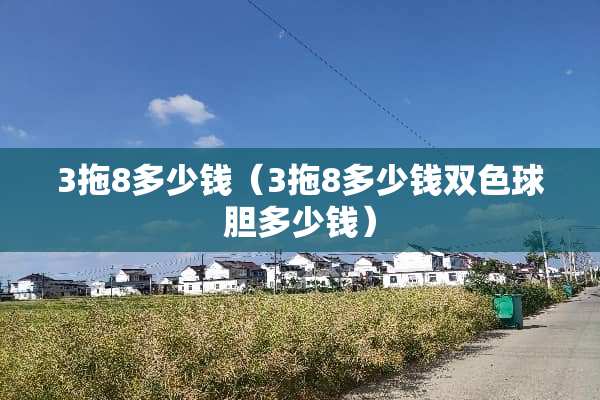 3拖8多少钱（3拖8多少钱双色球胆多少钱）