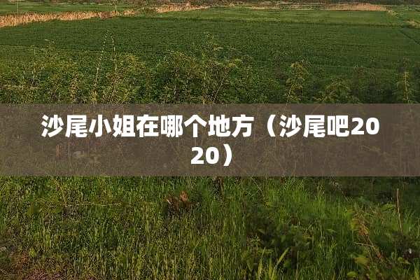 沙尾小姐在哪个地方（沙尾吧2020）