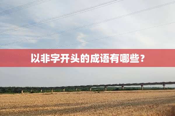 以非字开头的成语有哪些？