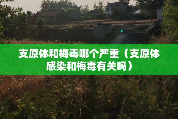 支原体和梅毒哪个严重（支原体感染和梅毒有关吗）